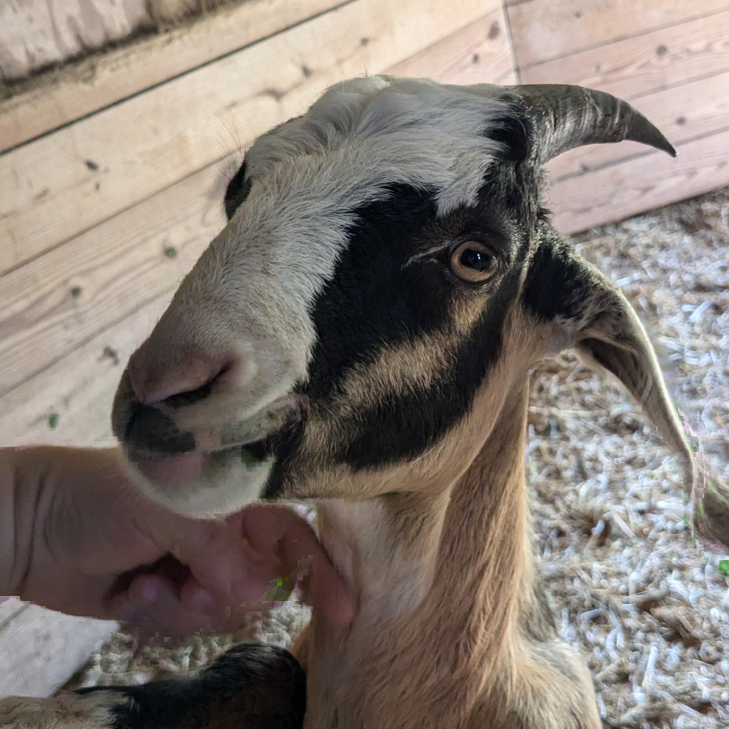 Hot Cider Farm Tour (FREE)