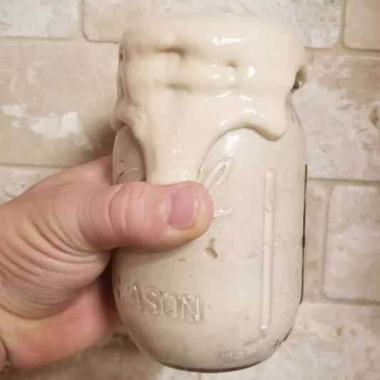 Sourdough Starter
