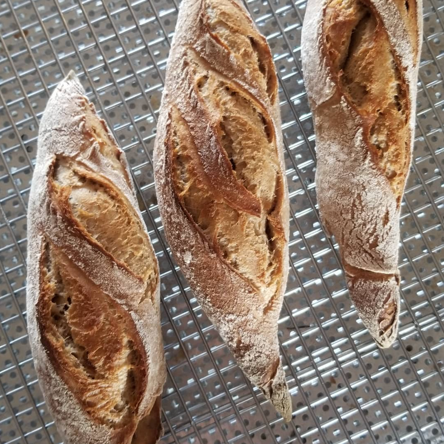 Sourdough Mini Baguettes
