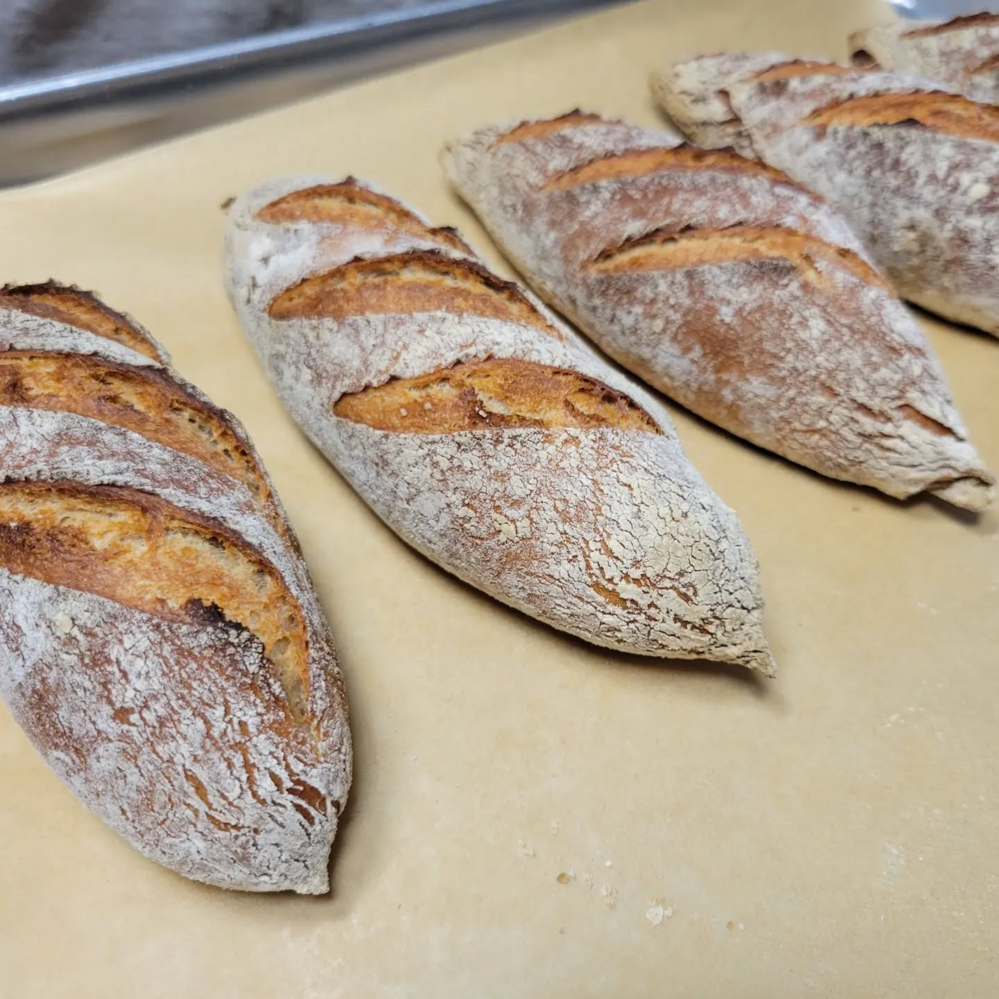 Sourdough Mini Baguettes