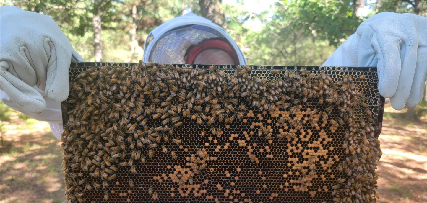 Hive Dive: Hands-on Beekeeping with Rune Exchange
