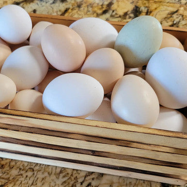 Eggs - Dozen