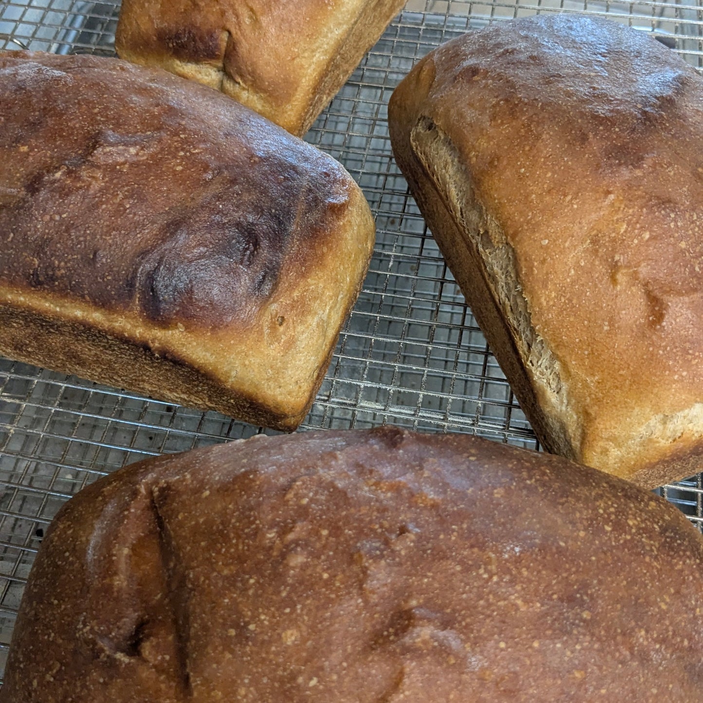 Sourdough Sandwich Loaf