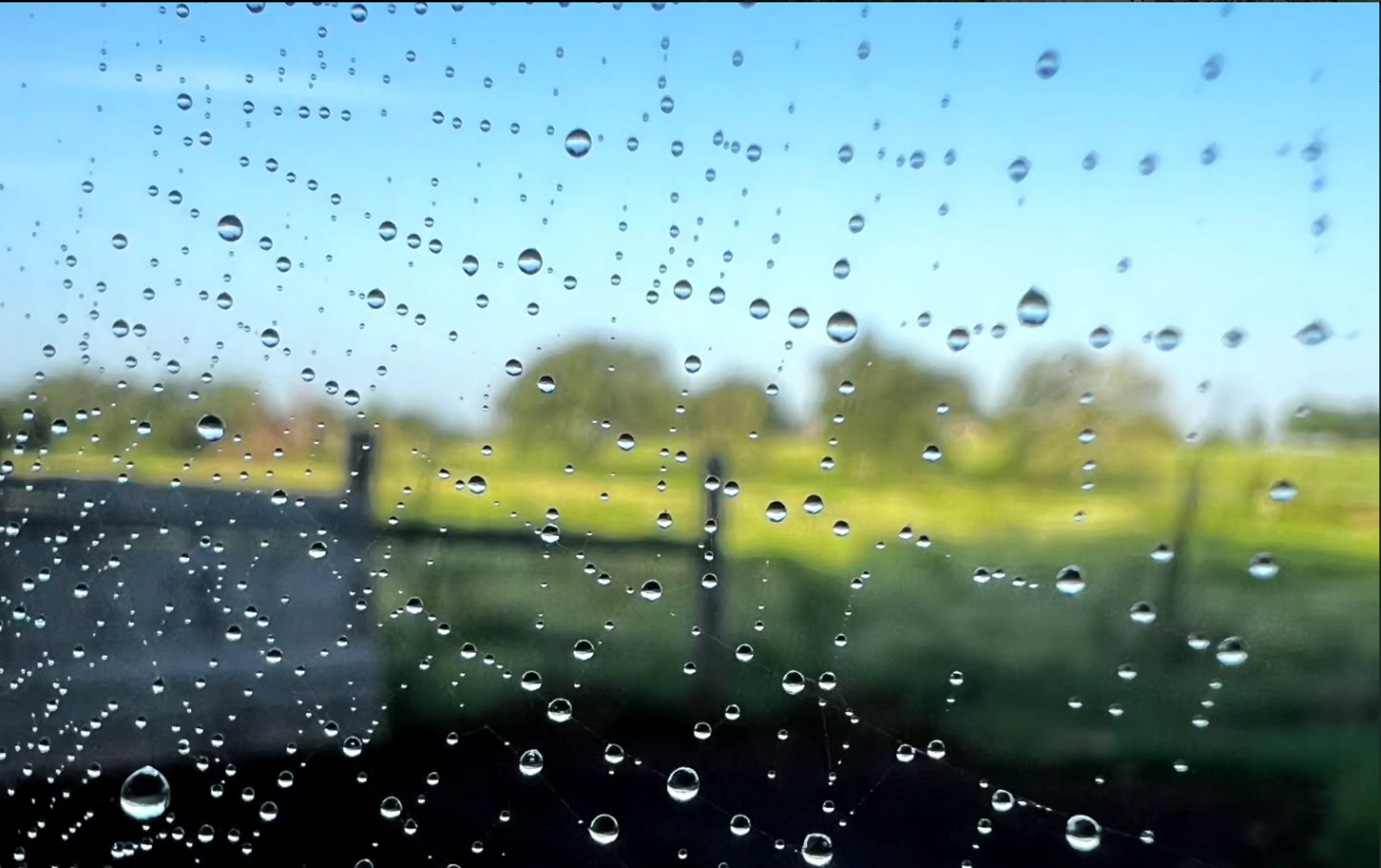 Headlong Farm photo 21