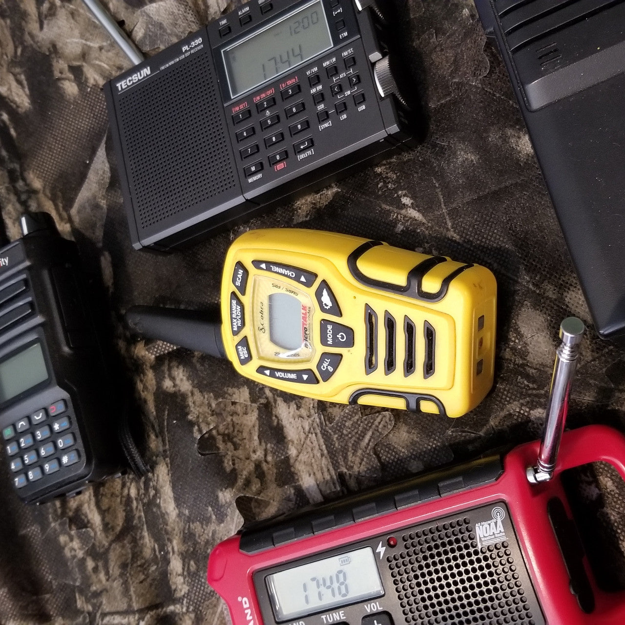 Headlong Farm photo 6