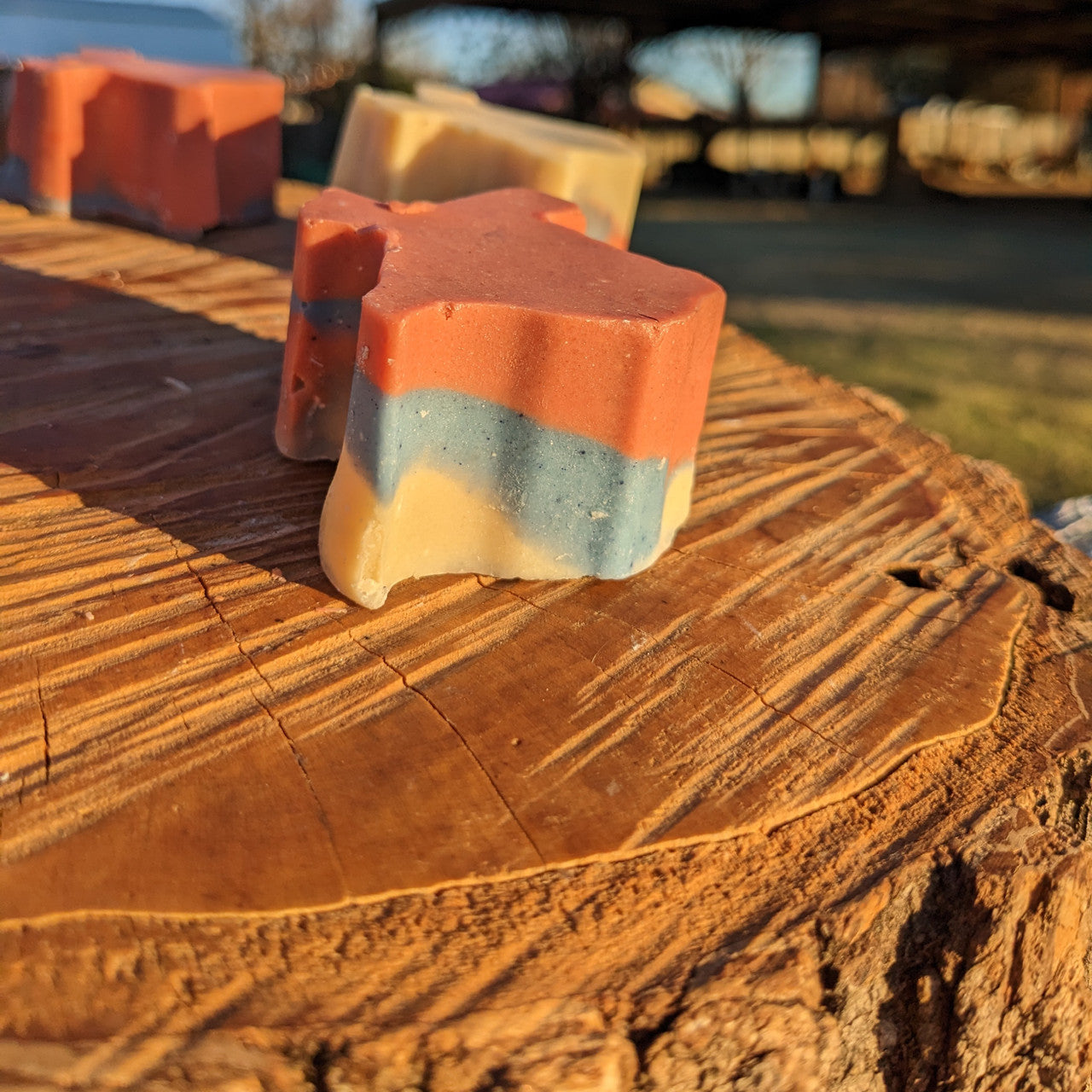 Five small Texas-shaped bars of goat milk soap on a piece of wood.