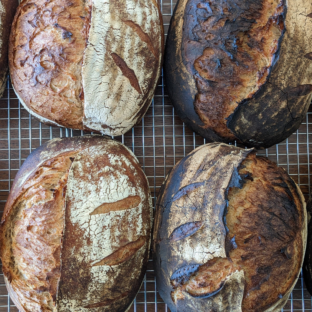 Four of our wonderful sourdough loaves cooling on the rack before going to their new homes!