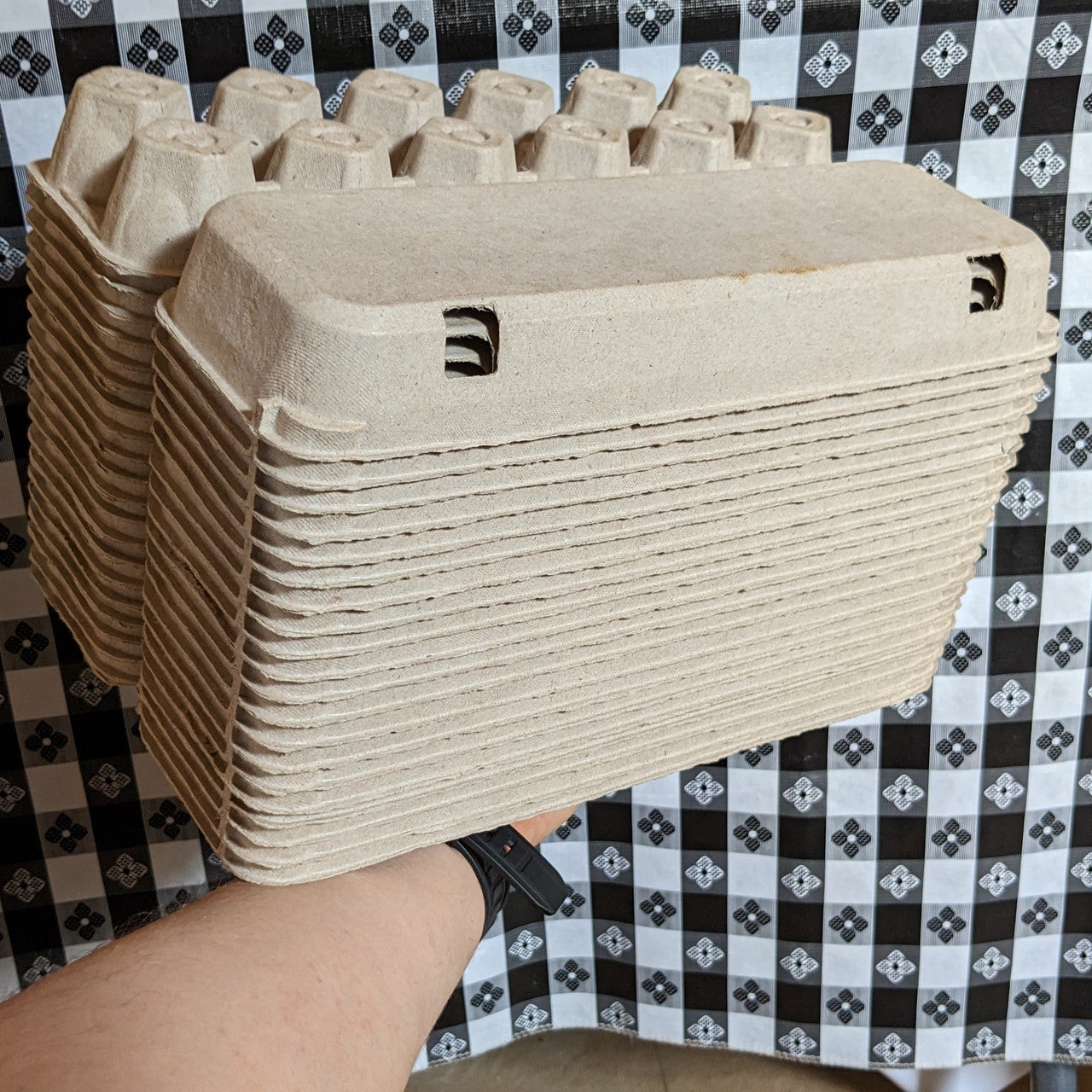 Blank 12-Egg Cardboard Carton