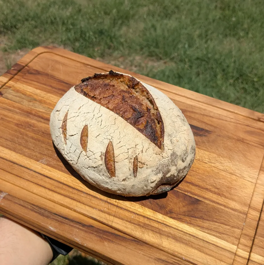 Sourdough Basics Class