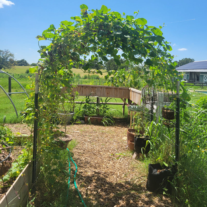 Headlong Farm photo 9