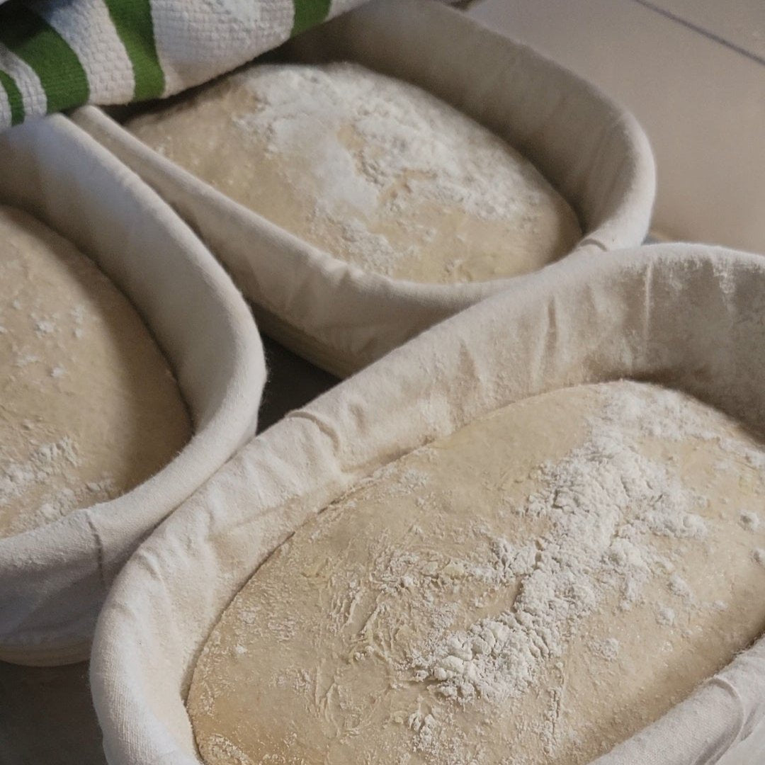 Sourdough Basics