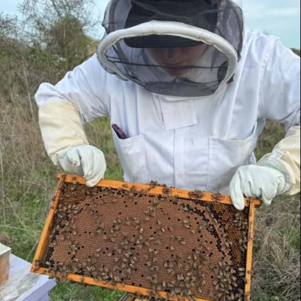 Hive Dive: Hands-on Beekeeping with Rune Exchange